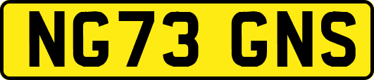 NG73GNS