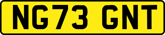 NG73GNT