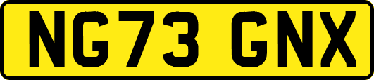 NG73GNX