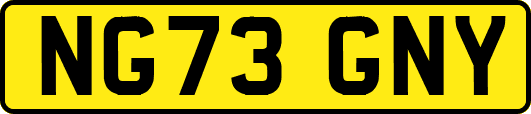NG73GNY