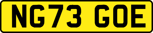 NG73GOE