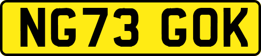 NG73GOK