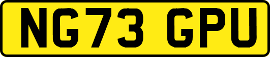 NG73GPU