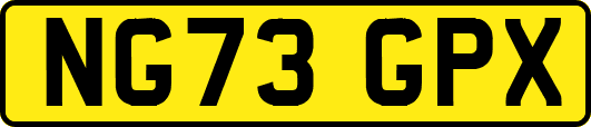 NG73GPX