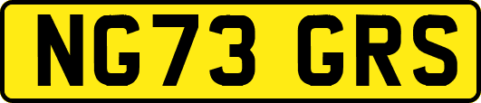 NG73GRS