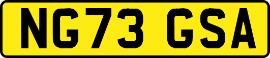 NG73GSA