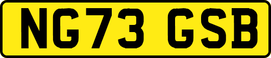 NG73GSB