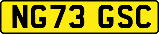 NG73GSC