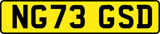 NG73GSD
