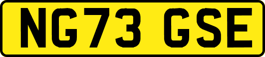 NG73GSE