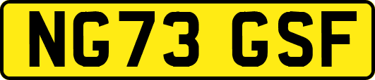 NG73GSF