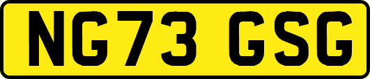 NG73GSG