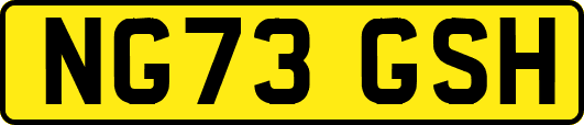 NG73GSH