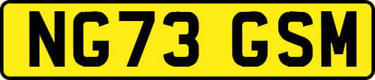 NG73GSM