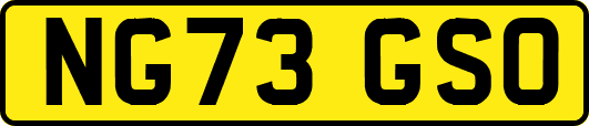 NG73GSO