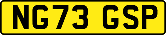 NG73GSP