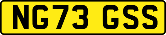 NG73GSS