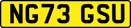 NG73GSU