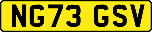 NG73GSV
