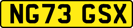 NG73GSX