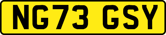 NG73GSY