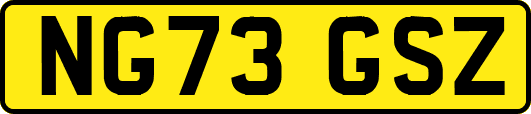 NG73GSZ