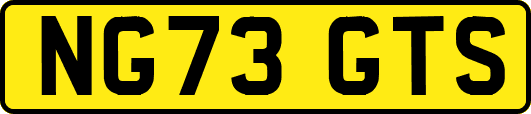 NG73GTS