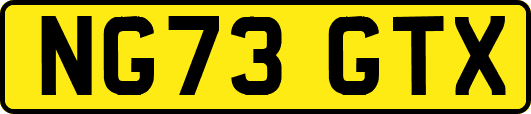 NG73GTX