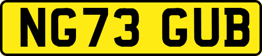 NG73GUB