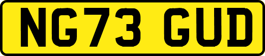 NG73GUD