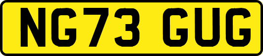 NG73GUG