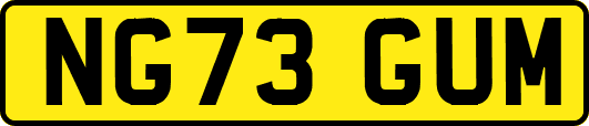 NG73GUM