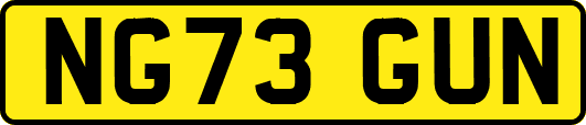 NG73GUN