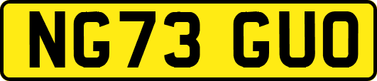 NG73GUO