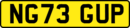 NG73GUP