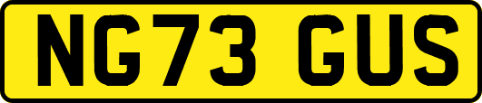 NG73GUS