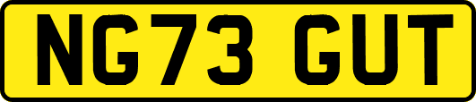 NG73GUT