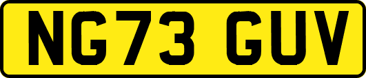 NG73GUV