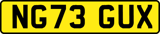 NG73GUX
