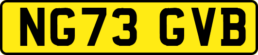 NG73GVB