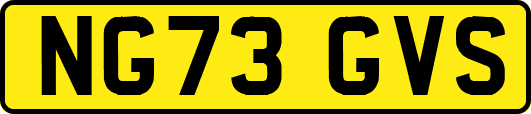 NG73GVS