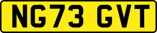 NG73GVT