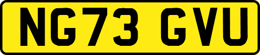 NG73GVU