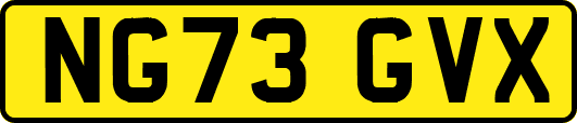 NG73GVX
