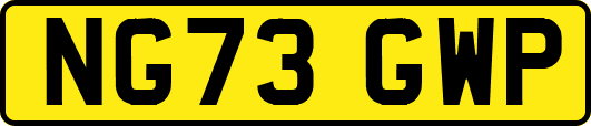 NG73GWP