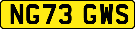 NG73GWS