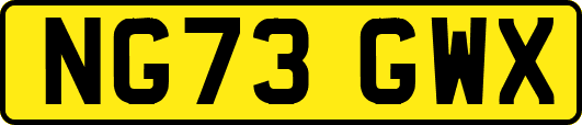 NG73GWX