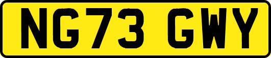 NG73GWY