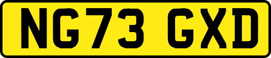 NG73GXD