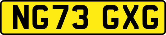 NG73GXG